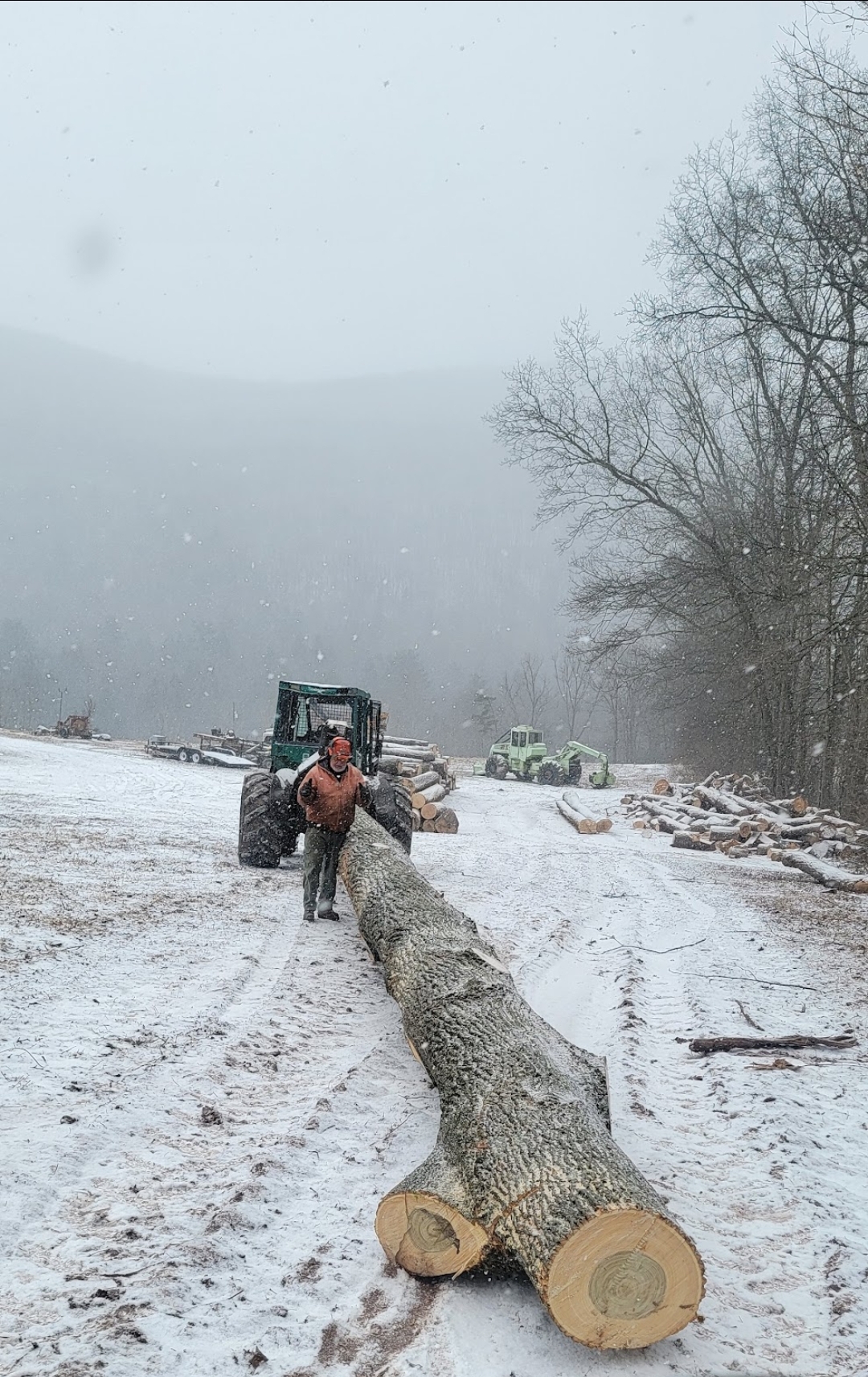 Winter Logging