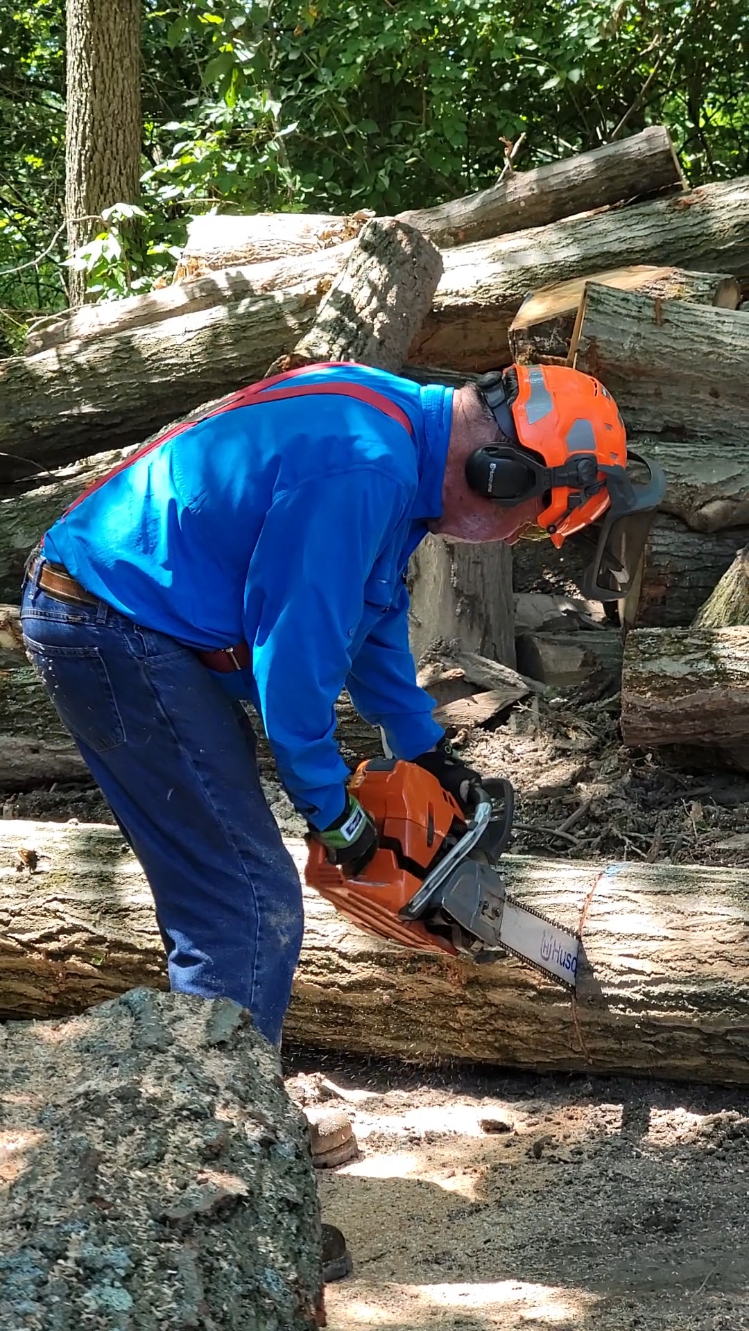 Precision Chainsaw Work